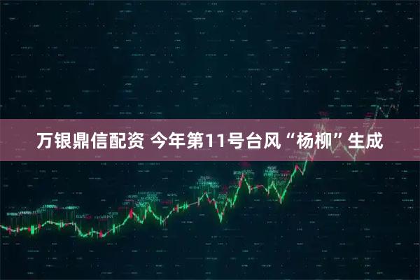 万银鼎信配资 今年第11号台风“杨柳”生成