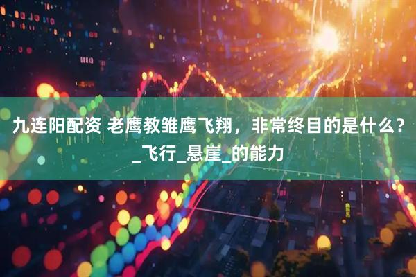 九连阳配资 老鹰教雏鹰飞翔，非常终目的是什么？_飞行_悬崖_的能力