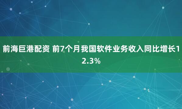 前海巨港配资 前7个月我国软件业务收入同比增长12.3%
