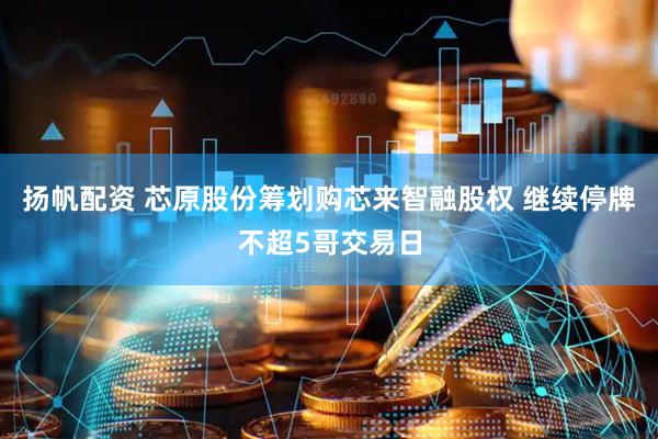 扬帆配资 芯原股份筹划购芯来智融股权 继续停牌不超5哥交易日